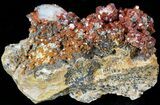 Cluster of Red Vanadinite Crystals - Midelt, Morocco #56260-2